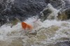 Thumbs/tn_Img_3337.jpg