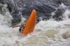 Thumbs/tn_Img_3339.jpg