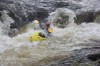 Thumbs/tn_Img_3364.jpg
