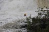 Thumbs/tn_Img_3378.jpg