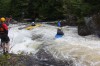 Thumbs/tn_Img_3403.jpg