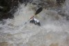 Thumbs/tn_Img_3501.jpg