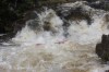 Thumbs/tn_Img_3528.jpg