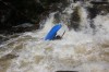 Thumbs/tn_Img_3544.jpg