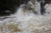Thumbs/tn_Img_3565.jpg
