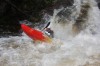 Thumbs/tn_Img_3575.jpg
