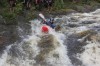 Thumbs/tn_Img_3579.jpg
