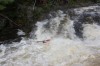 Thumbs/tn_Img_3586.jpg