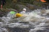 Thumbs/tn_Img_3600.jpg