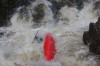 Thumbs/tn_Img_3642.jpg
