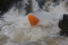 Thumbs/tn_Img_3645.jpg