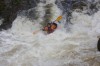 Thumbs/tn_Img_3685.jpg