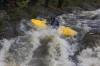 Thumbs/tn_Img_3690.jpg