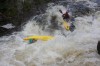Thumbs/tn_Img_3703.jpg