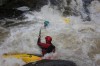Thumbs/tn_Img_3708.jpg