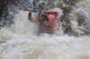 Thumbs/tn_Img_3737.jpg