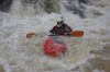 Thumbs/tn_Img_3745.jpg