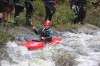 Thumbs/tn_Img_3747.jpg
