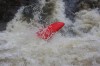 Thumbs/tn_Img_3751.jpg