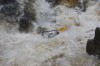 Thumbs/tn_Img_3780.jpg