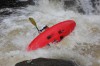 Thumbs/tn_Img_3806.jpg