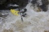 Thumbs/tn_Img_3872.jpg