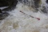 Thumbs/tn_Img_3875.jpg
