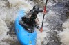 Thumbs/tn_Img_3913.jpg