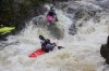 Thumbs/tn_Img_3928.jpg