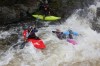 Thumbs/tn_Img_3933.jpg