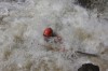 Thumbs/tn_Img_4085.jpg