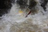Thumbs/tn_Img_4131.jpg