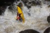Thumbs/tn_Img_4137.jpg