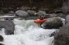 Thumbs/tn_Img_6750.jpg