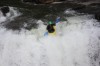 Thumbs/tn_Img_6912.jpg