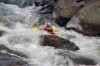 Thumbs/tn_Img_6952.jpg