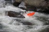 Thumbs/tn_Img_6955.jpg