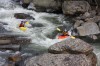 Thumbs/tn_Img_6960.jpg