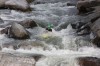 Thumbs/tn_Img_6971.jpg