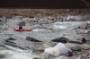 Thumbs/tn_Img_7084.jpg