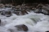 Thumbs/tn_Img_7105.jpg