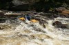 Thumbs/tn_Img_5379.jpg