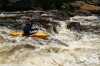Thumbs/tn_Img_5382.jpg