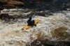 Thumbs/tn_Img_5384.jpg