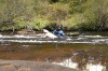 Thumbs/tn_Img_5388.jpg