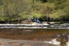 Thumbs/tn_Img_5389.jpg