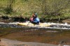 Thumbs/tn_Img_5393.jpg