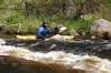 Thumbs/tn_Img_5403.jpg
