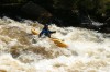 Thumbs/tn_Img_5431.jpg