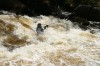 Thumbs/tn_Img_5432.jpg
